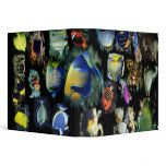 Reefers Delight-Reef Fish