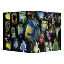 Reefers Delight-Reef Fish binders by FishTsdotcom Reefers Delight-Reef Fish binders