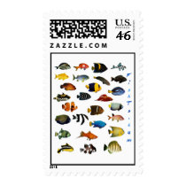 Reefies Postage