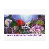 ReefScape Postcard
