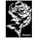 Reelbigfishlogo, Skatanic - Customized t-shirts