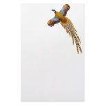 Reeves Pheasant Stationery