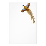 Reeves Pheasant Stationery