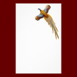 Reeves Pheasant Stationery stationery
