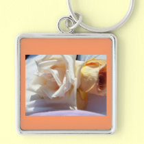 Ref_100_0766 keychains
