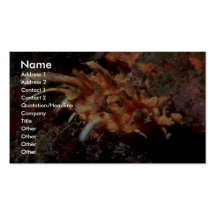 #REF! BUSINESS CARD