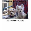 Ref_SAMPSON &amp; DALILA OCT 2007-14, MORKIES  ... t-shirts