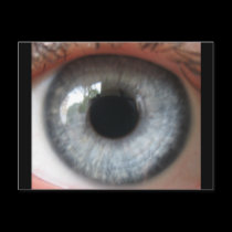 Refelection in a blue eye postcard postcards