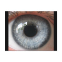 Refelection in a blue eye postcard by catjoy Refelection in a blue eye postcard