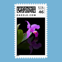 Reflected Beauty Orchid Postage stamp stamps