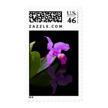Reflected Beauty Orchid Postage stamp
