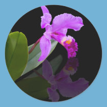 Reflected Beauty Orchid  Sticker