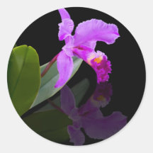 Reflected Beauty Orchid  Sticker