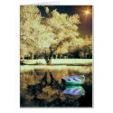 Reflected Soul cards by digitalmidge Reflected Soul cards