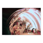 cymbidiums, orchids, cymbidium orchid, flowers,