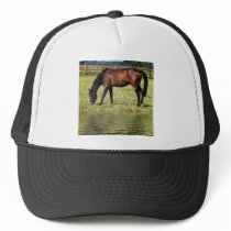 Reflecting Bay Trucker Hat