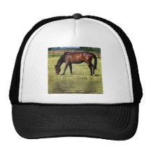 Reflecting Bay Trucker Hat