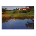 Reflecting Nature card
