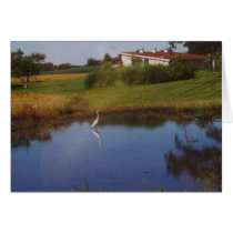 Reflecting Nature cards by malibuitalian Reflecting Nature cards