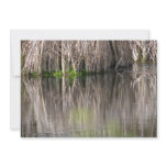 Reflecting Pond Personalized Announcement