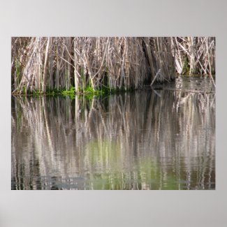 Reflecting Pond print