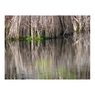 Reflecting Pond print