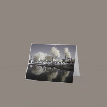 Reflecting Pool cards