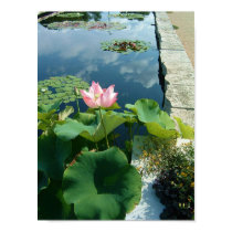 Reflecting Pool posters