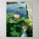 Reflecting Pool Posters
