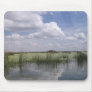 Reflecting sky mousepads