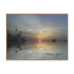 Reflecting Sunshine Postcard