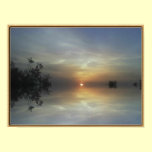 Reflecting Sunshine posters