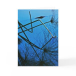 Reflecting with Clarity Card