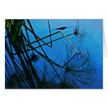Reflecting with Clarity Cards