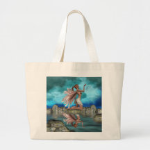 reflection bag