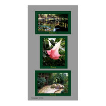 Reflection, Beauty, and Serenity by TDGallery posters