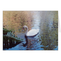 Reflection Card