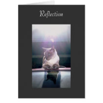 Reflection cards