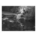 Reflection Creek posters by DesigningD Reflection Creek posters