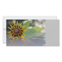 Reflection Flower TEYoung photo cards