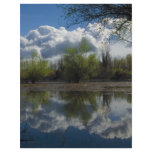 reflection flyer design