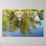 Reflection in the water posters