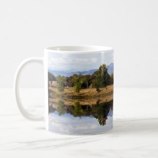 Reflection mug mug