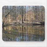 Reflection of American Beech mousepads
