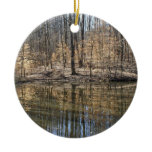 Reflection of American Beech ornaments