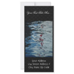 Reflection Of Kites In Sydney At Australia Customized Rack Card