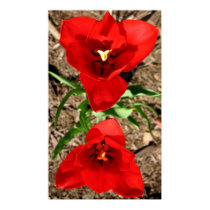 "Reflection of Red" posters by ChelseaKerwath "Reflection of Red" posters