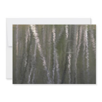 Reflection of tree trunks in a beaver pond announcements