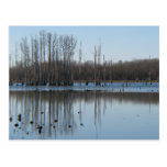 Reflection Post Card