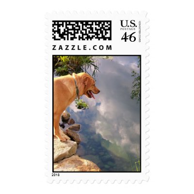 Reflection Stamp by ScottMDuncan